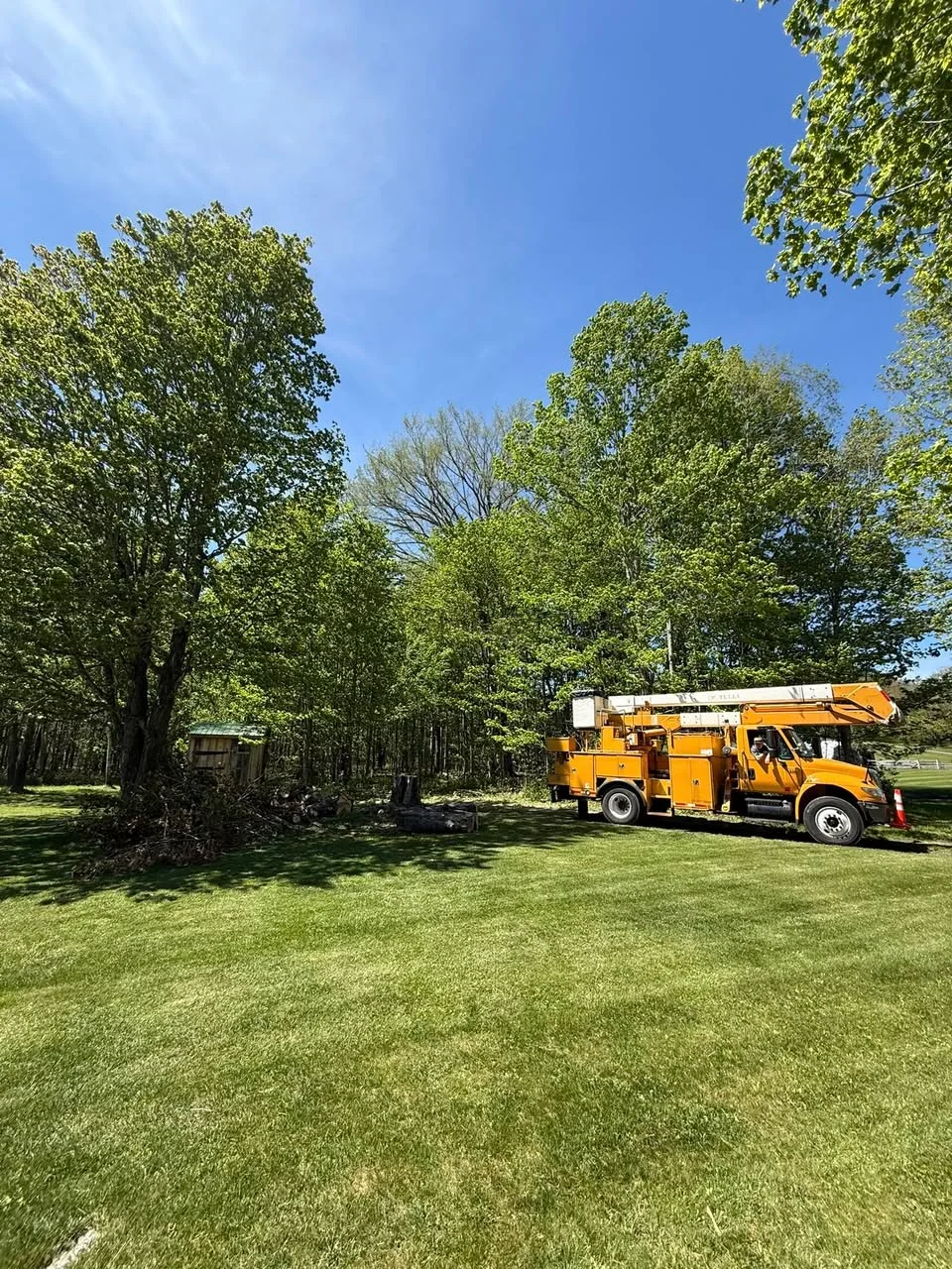 Beaver Tree Experts bucket truck on a commercial property in Berkshire County, MA